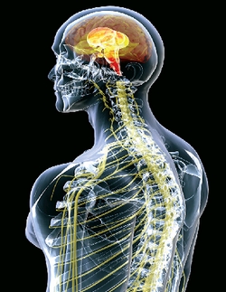 Clinical Practice Guidelines in Oncology