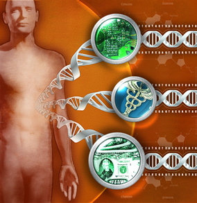 Human Genome