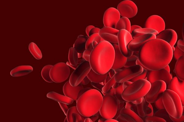 Blood Clotting Biotech Hemab Hauls In $135M to Drug Rare Bleeding Disorders