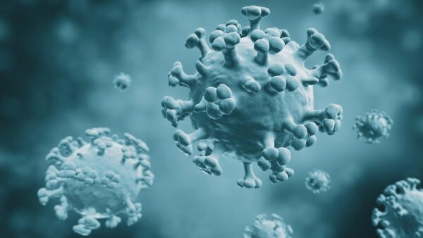 Moderna Flu Vax Prompts Response to More Common Strains, But Misses in Influenza B