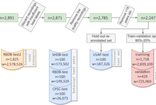 Generalizable and robust deep learning algorithm for atrial fibrillation diagnosis across geography, ages and sexes