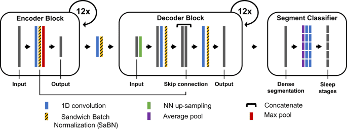 U-Sleep’s resilience to AASM guidelines