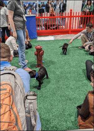 From HIMSS with Dr. Jayne 4/20/23