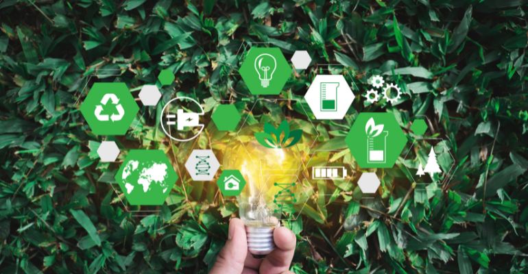 On the road to net zero