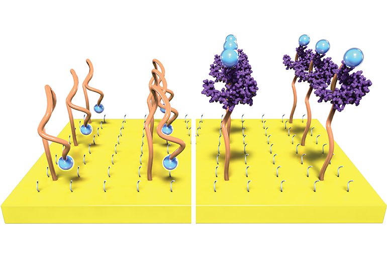 Plastic Transistor Boosts Signals of Implantable Sensors