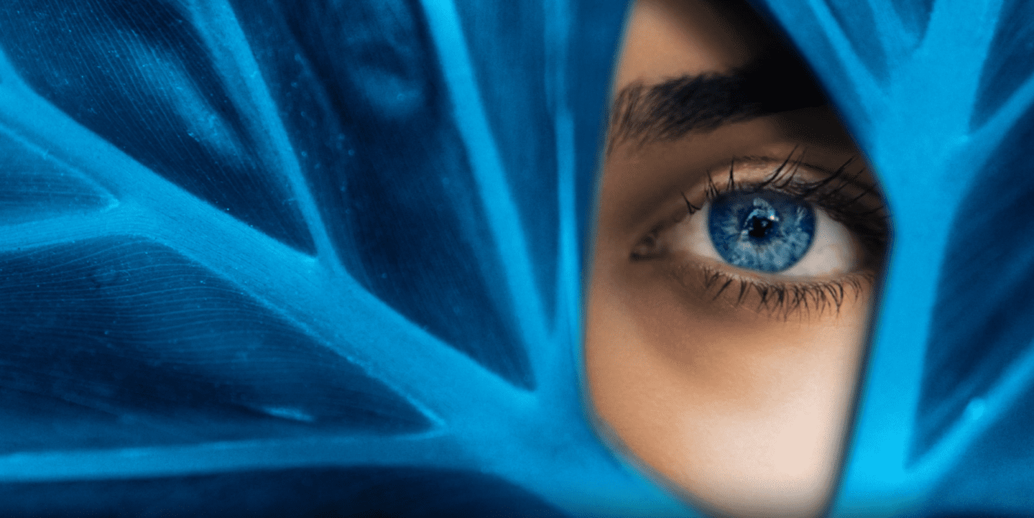 Aegis Ventures, Northwell Launch Optain for AI-Powered Retinal Imaging