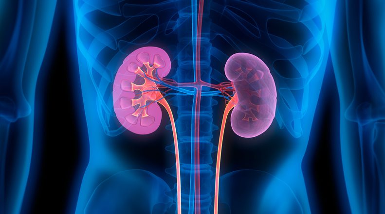 Strive Health Rakes In $166M for Value-based Kidney Care - MedCity News