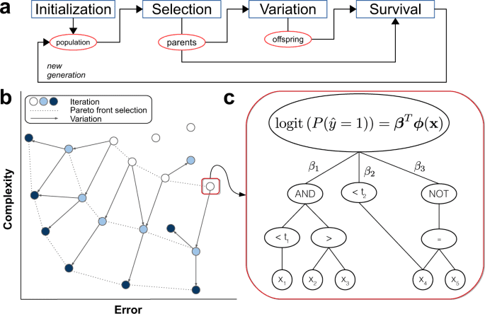 A flexible symbolic regression method for constructing interpretable clinical prediction models