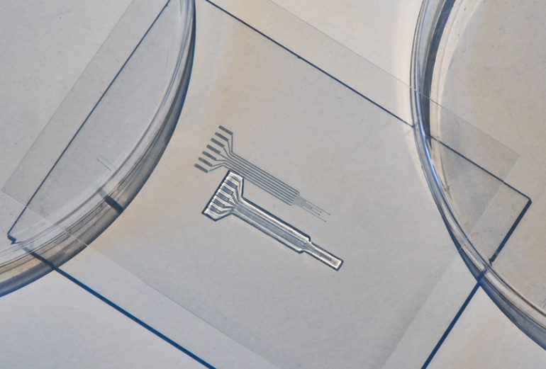 Conductive Polymer Electrode is Metal-Free |