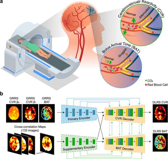 Deep-learning-enabled brain hemodynamic mapping using resting-state fMRI