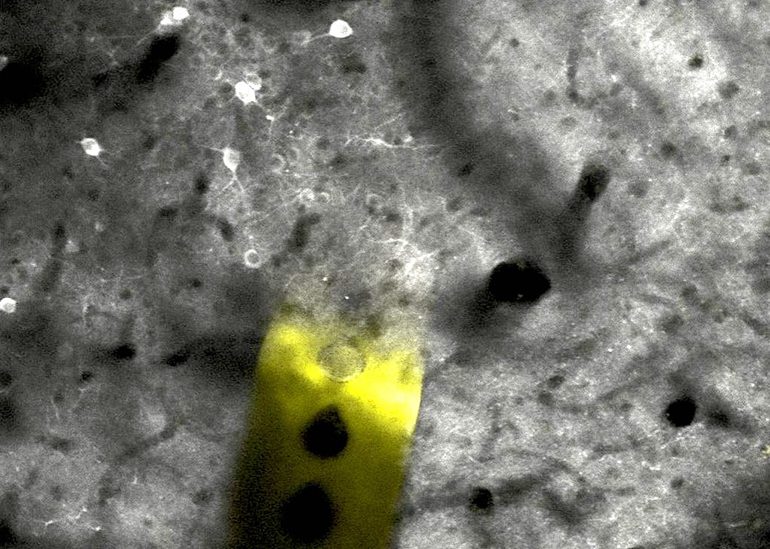 Low Current Nanoelectrode for High Resolution Brain Stimulation |