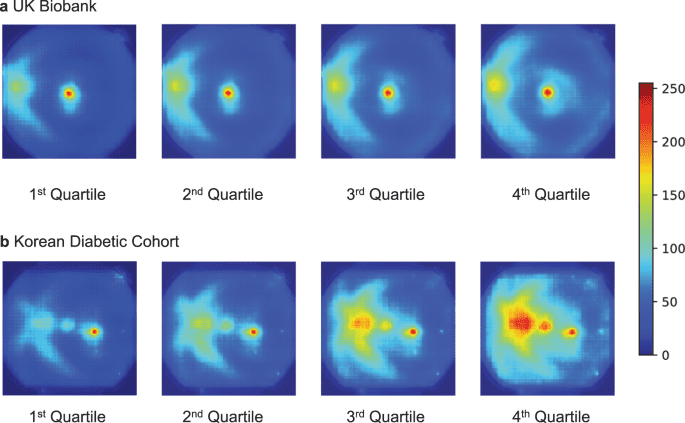 Non-invasive chronic kidney disease risk stratification tool derived from retina-based deep learning and clinical factors