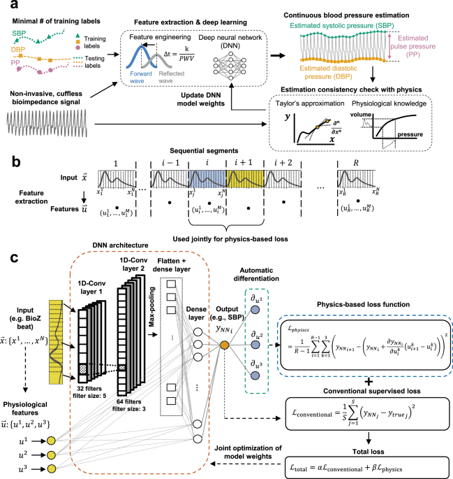 Physics-informed neural networks for modeling physiological time series for cuffless blood pressure estimation