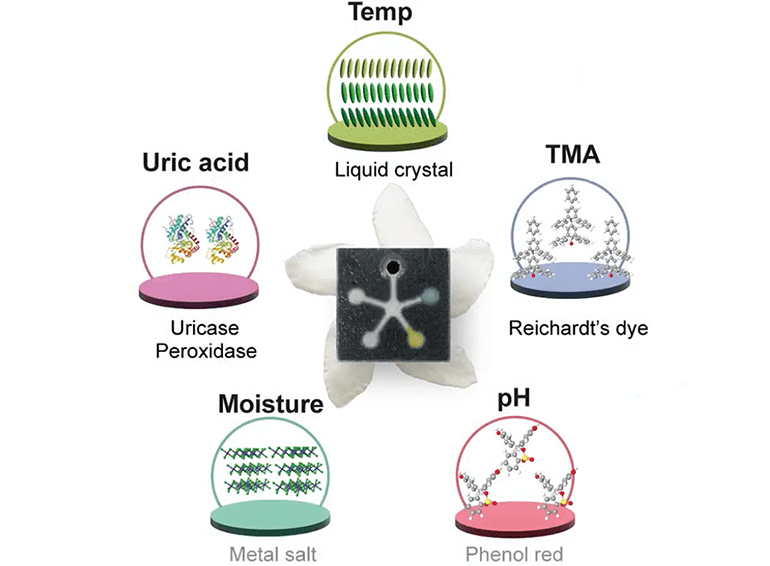 Wound Sensor Patch Indicates Healing Status |