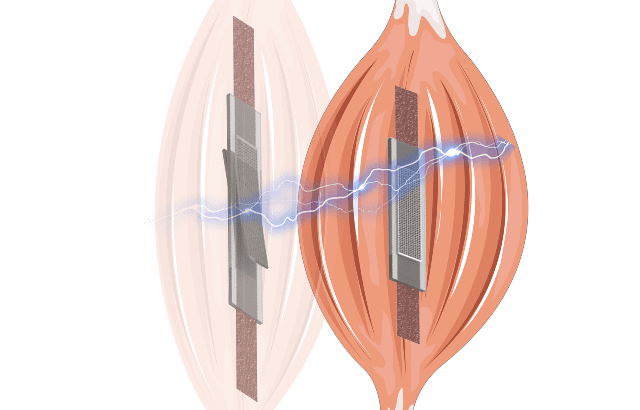 Artificial Muscle Changes Stiffness with Voltage |