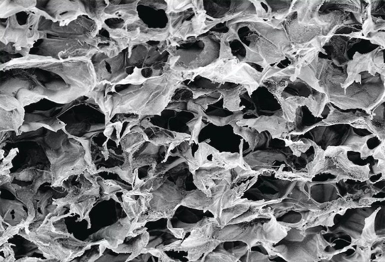 Biomaterial Injection Combines T Cell and Cancer Vaccine Treatments |