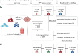 Predicting HPV association using deep learning and regular H&E stains allows granular stratification of oropharyngeal cancer patients