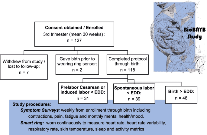 Predicting labor onset relative to the estimated date of delivery using smart ring physiological data