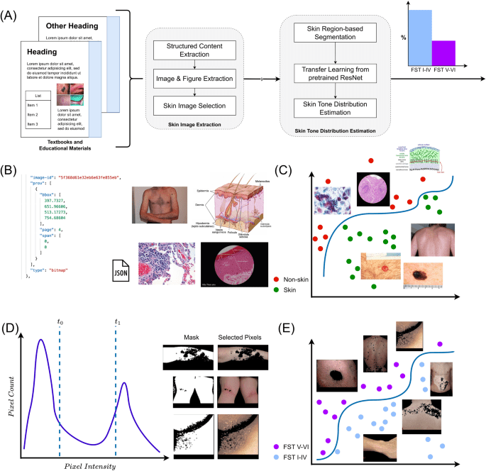 Skin Tone Analysis for Representation in Educational Materials (STAR-ED) using machine learning