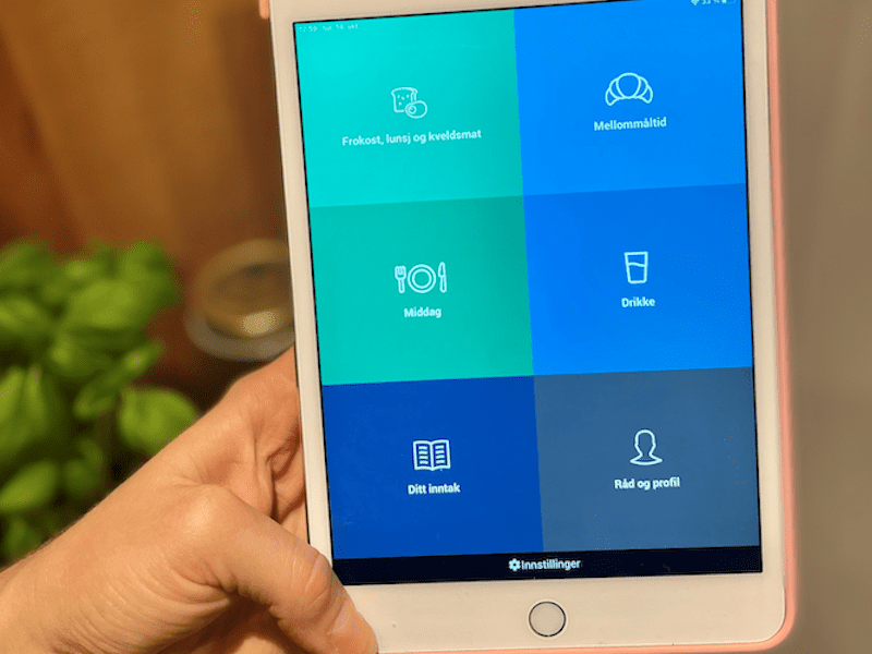 The Use of a Decision Support System (MyFood) to Assess Dietary Intake Among Free-Living Older Adults in Norway: Evaluation Study