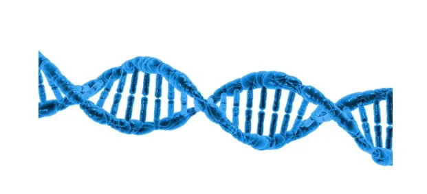 Unveiling the Innovations: Navigating the Frontier of Protein Engineering | The Healthcare Guys