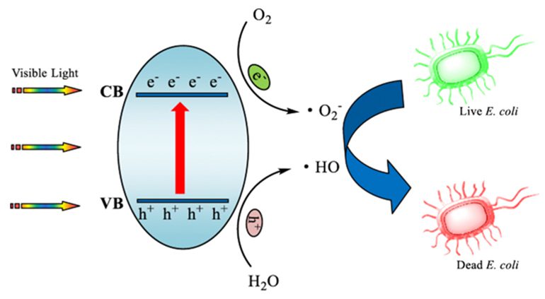 UV-Free Air Decontamination: Interview with Sorel Rothschild, VP at Quantum Innovations |