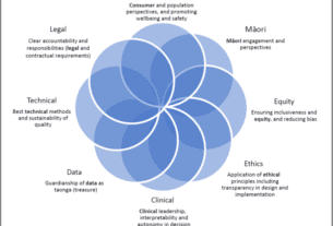 An example of governance for AI in health services from Aotearoa New Zealand