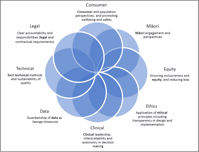 An example of governance for AI in health services from Aotearoa New Zealand