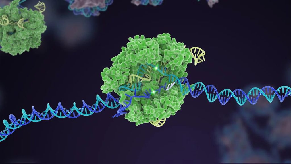 CRISPR’s Role in Shaping Future Disease Diagnosis and Treatment