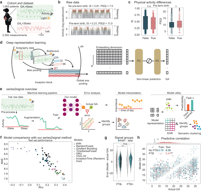 Deep representation learning identifies associations between physical activity and sleep patterns during pregnancy and prematurity