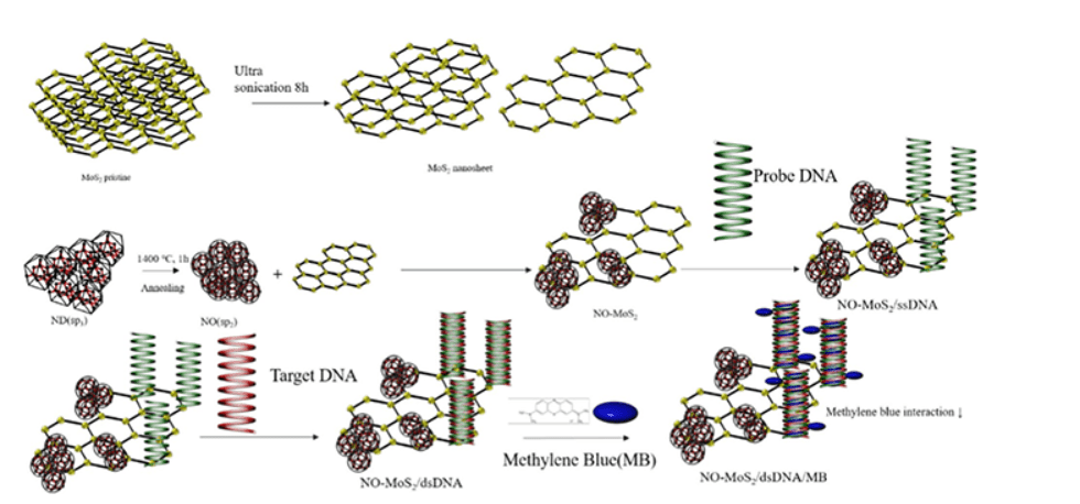 Researchers Develop DNA Biosensor for Early Cervical Cancer Diagnosis