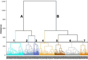 Clinically informed machine learning elucidates the shape of hospice racial disparities within hospitals