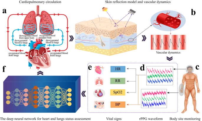Challenges and prospects of visual contactless physiological monitoring in clinical study