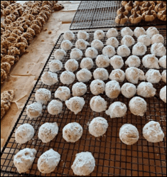 EPtalk by Dr. Jayne 12/28/23 – HIStalk