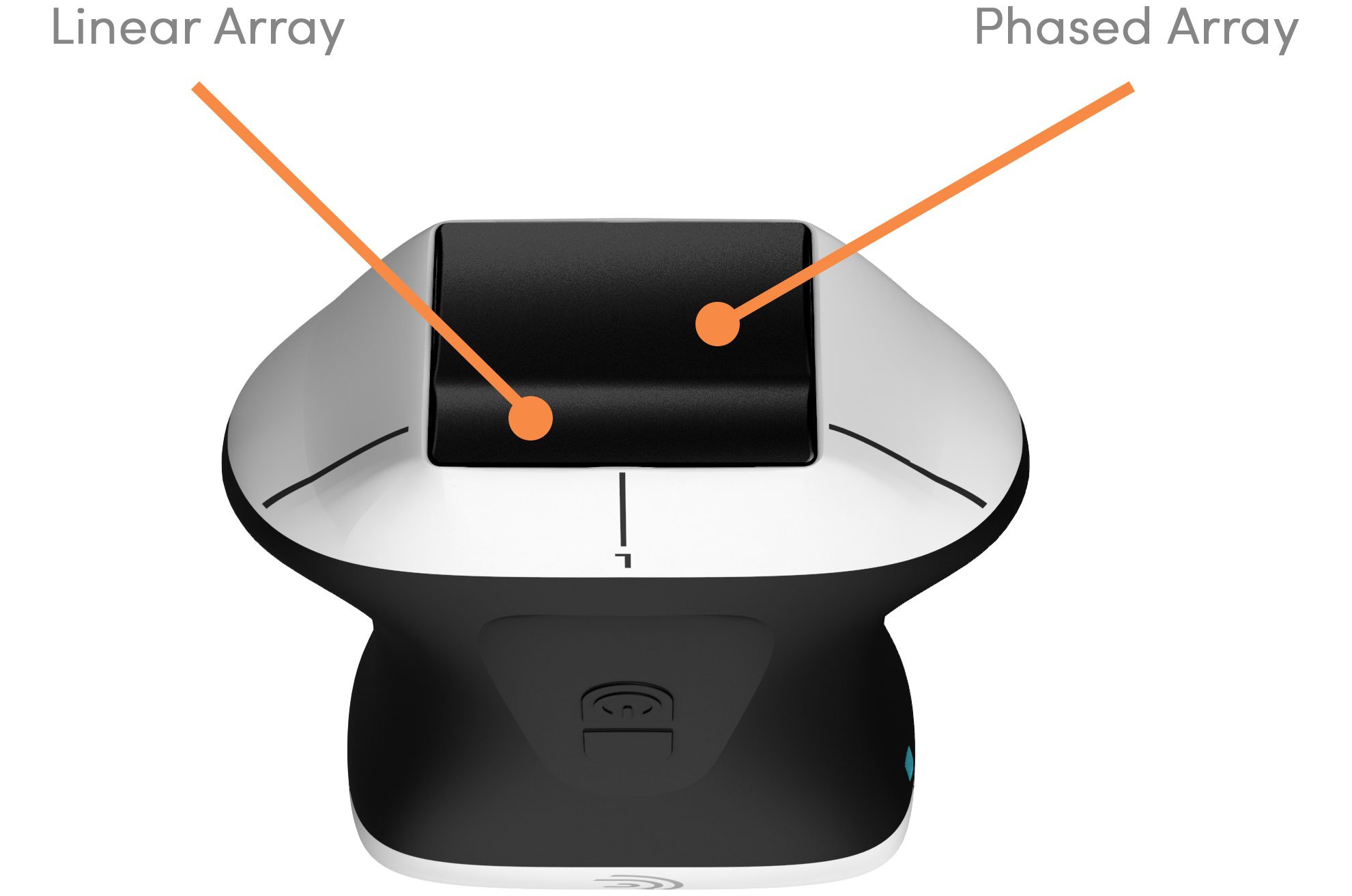 Clarius PAL HD3 – Innovating Whole-Body Ultrasound Imaging