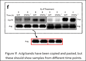 News 1/24/24 – HIStalk
