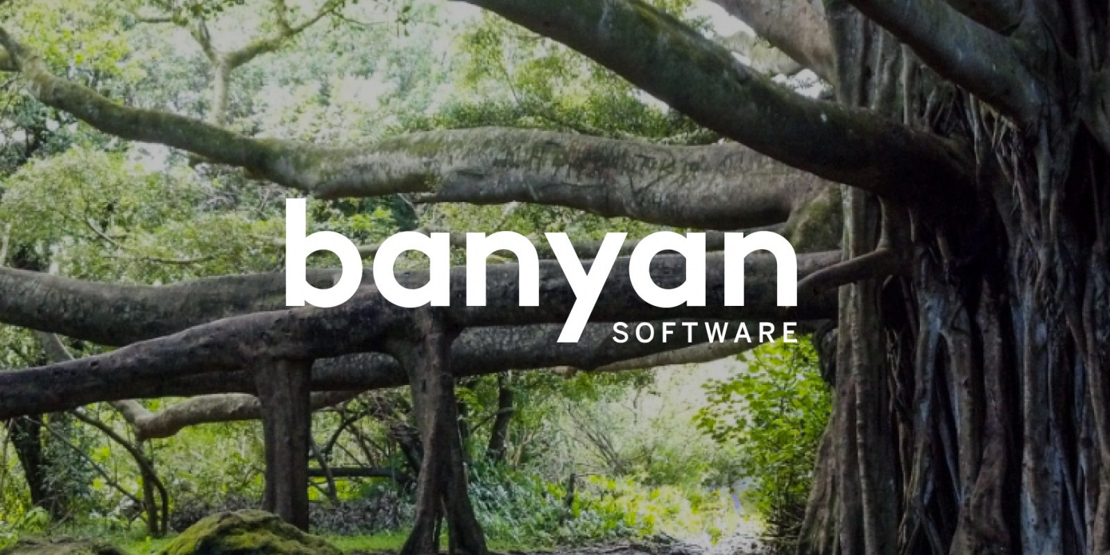 Banyan Software Boosts Healthcare Tech with ResMD Acquisition