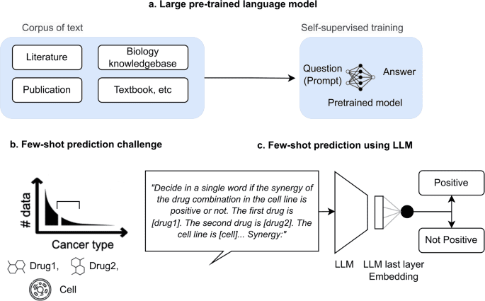 CancerGPT for few shot drug pair synergy prediction using large pretrained language models