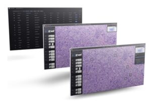 Paige’s AppLab | Elevating Cancer Diagnosis