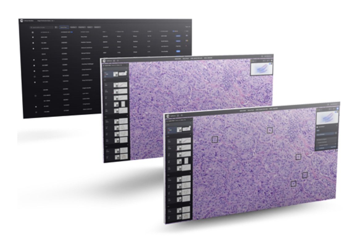 Paige’s AppLab | Elevating Cancer Diagnosis