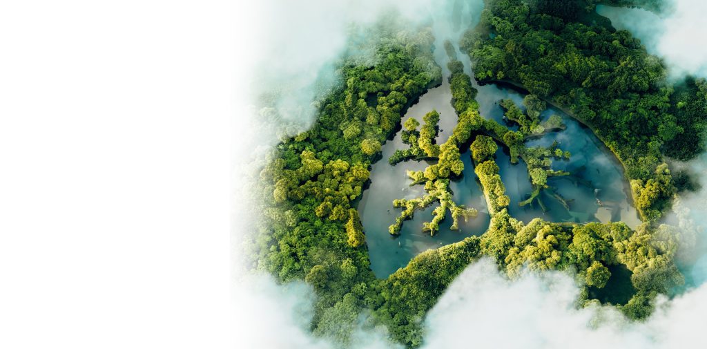 Radiology’s Environmental Impact from Technological Tools