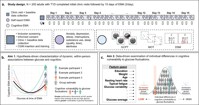 Dynamic associations between glucose and ecological momentary cognition in Type 1 Diabetes