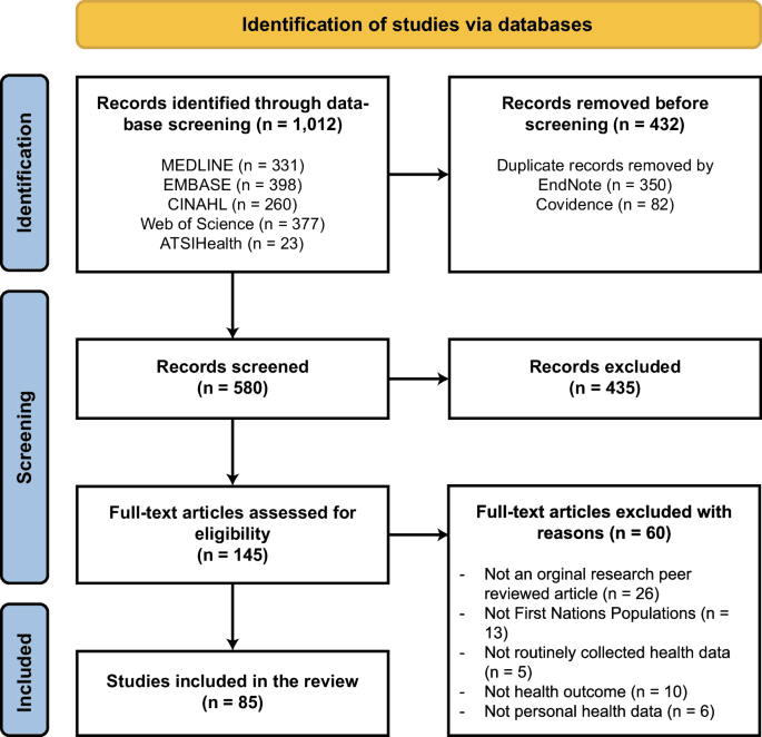 Indigenous data governance approaches applied in research using routinely collected health data: a scoping review