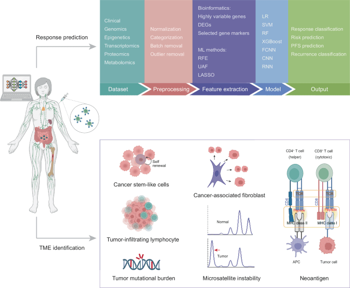 Informing immunotherapy with multi-omics driven machine learning