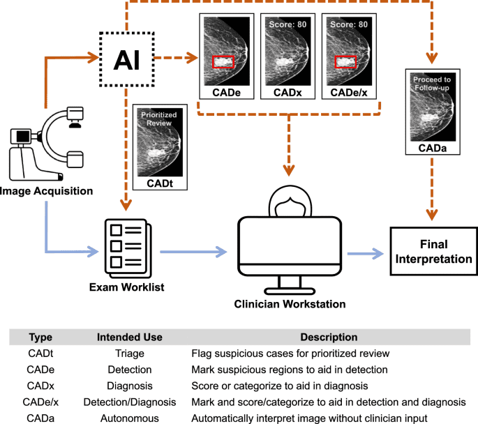 The clinician-AI interface: intended use and explainability in FDA-cleared AI devices for medical image interpretation