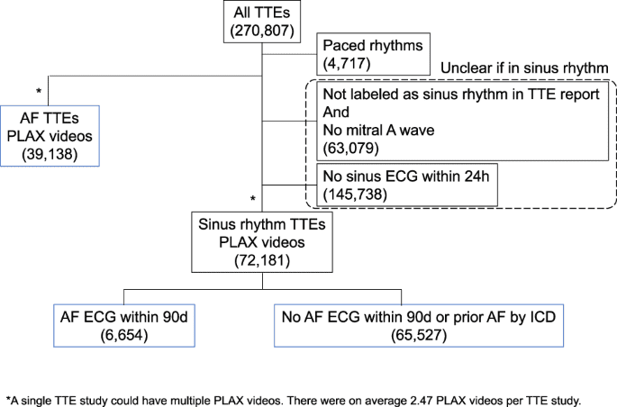 Deep learning evaluation of echocardiograms to identify occult atrial fibrillation