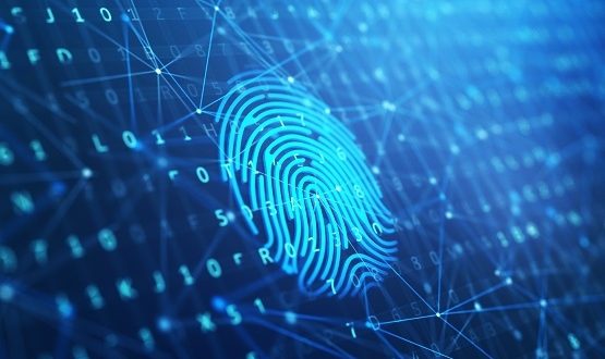 Digital identity crucial for security and enabling transformation says Kelly