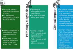 Understanding the errors made by artificial intelligence algorithms in histopathology in terms of patient impact