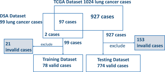 A critical assessment of using ChatGPT for extracting structured data from clinical notes