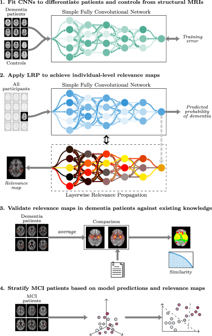 Constructing personalized characterizations of structural brain aberrations in patients with dementia using explainable artificial intelligence